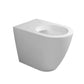 Ceramica Flaminia LK117G - Vaso a Terra Link bianco lucido
